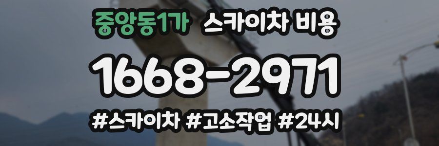 중앙동1가 스카이차 비용