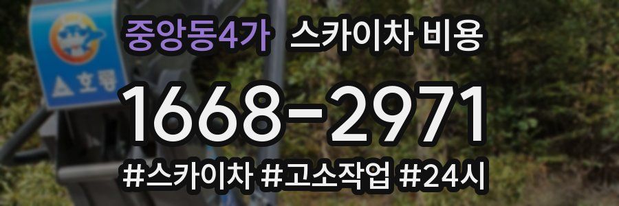 중앙동4가 스카이차 비용