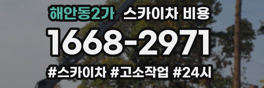 해안동2가 스카이차 비용