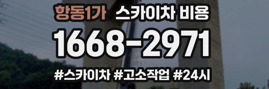 항동1가 스카이차 비용