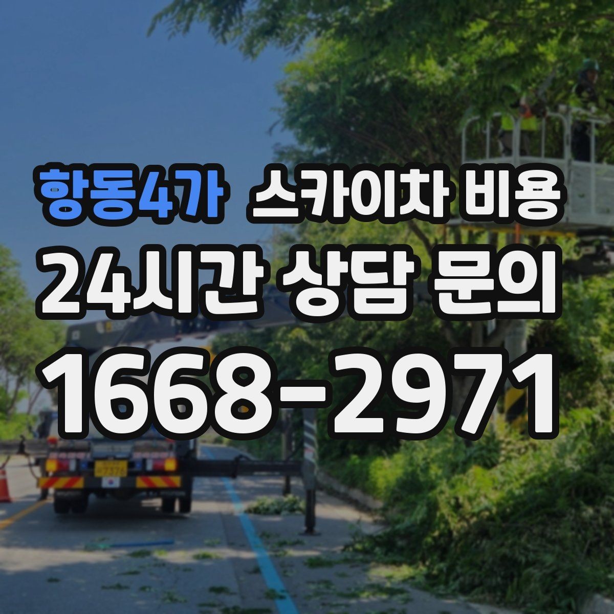 항동4가 스카이차 비용 나무 가지치기 작업은 어떤 기준으로 볼까