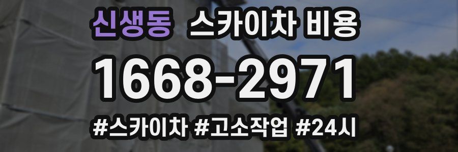 신생동 스카이차 비용