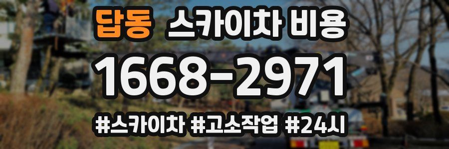 답동 스카이차 비용