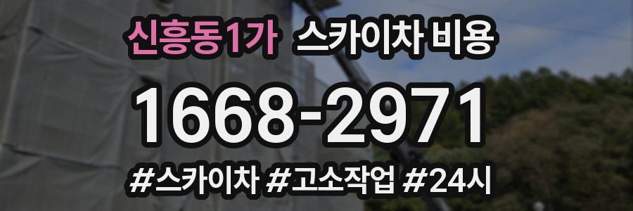신흥동1가 스카이차 비용