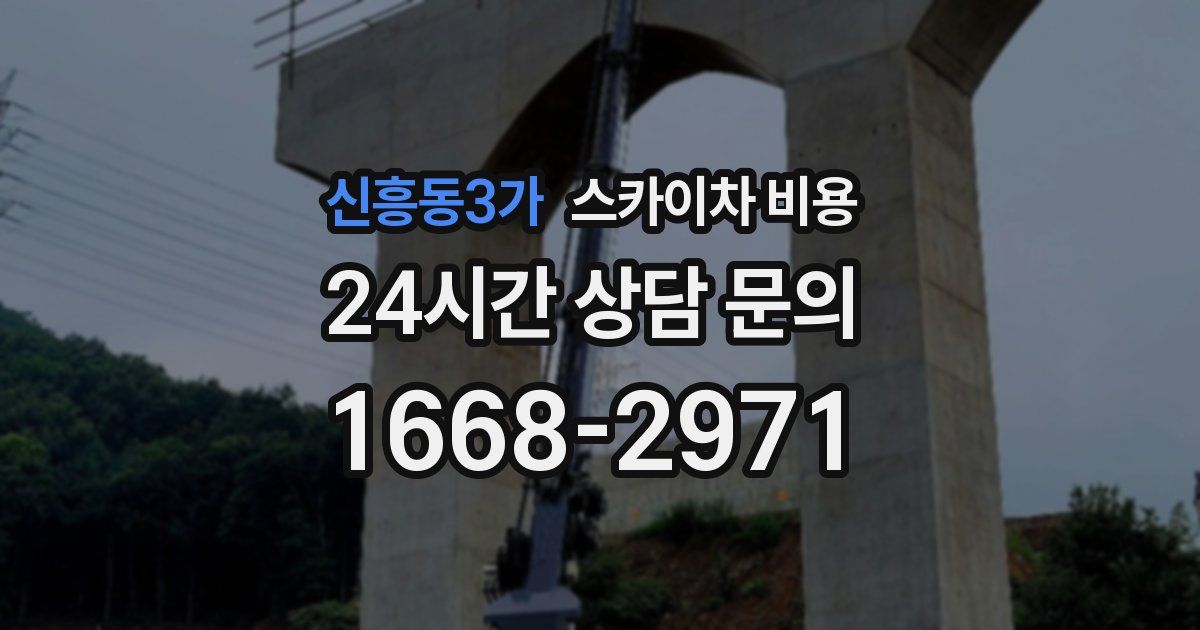 신흥동3가 스카이차 비용