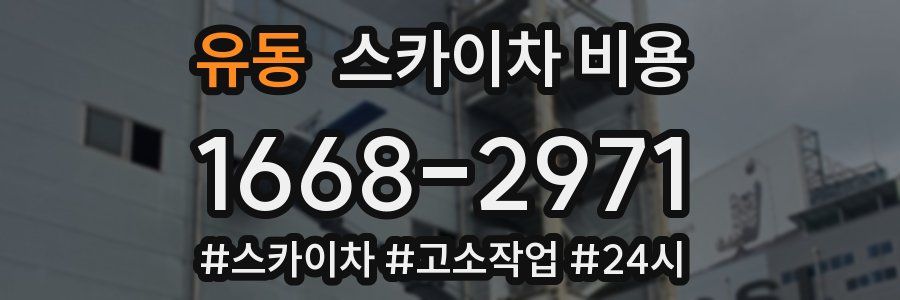 유동 스카이차 비용