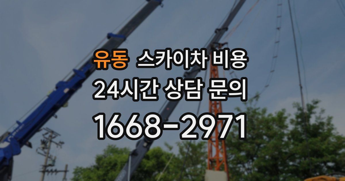 유동 스카이차 비용