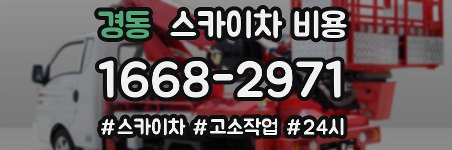 경동 스카이차 비용