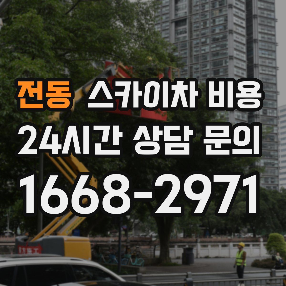 전동 스카이차 비용