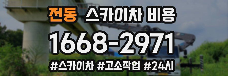 전동 스카이차 비용