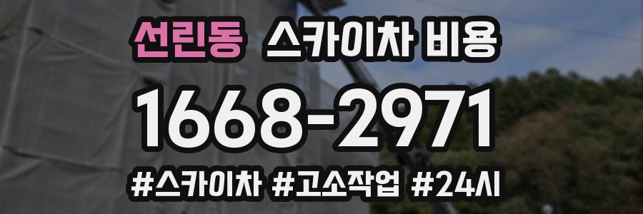 선린동 스카이차 비용