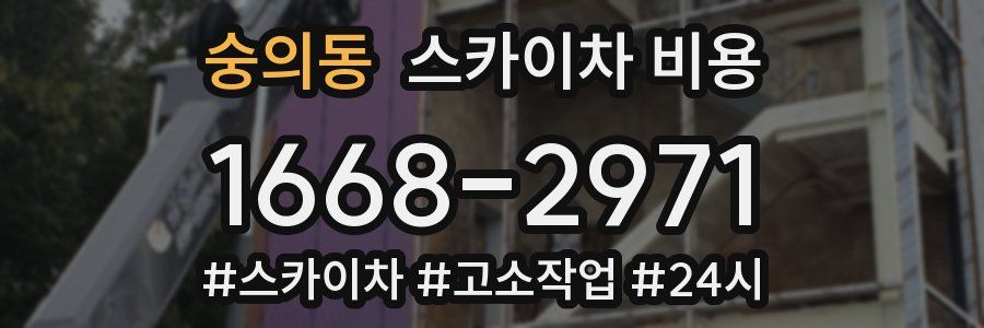 숭의동 스카이차 비용