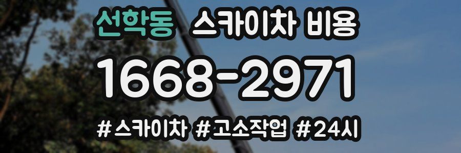 선학동 스카이차 비용