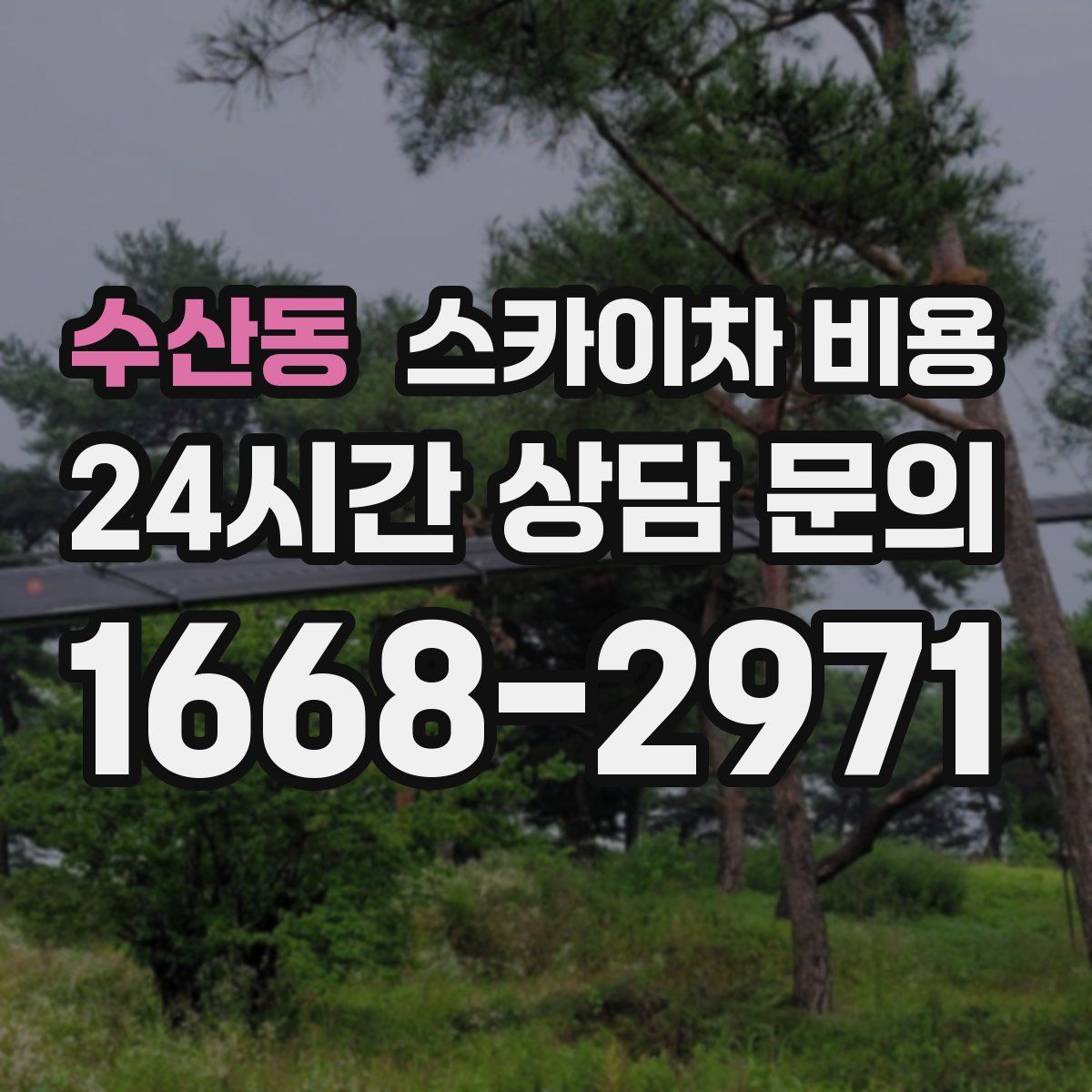 수산동 스카이차 비용