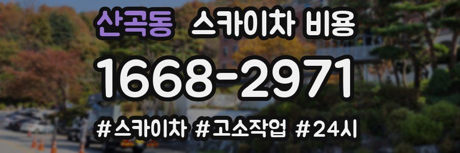 산곡동 스카이차 비용