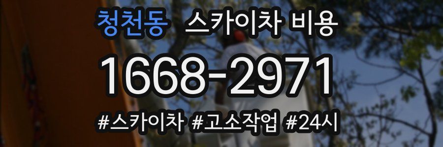 청천동 스카이차 비용