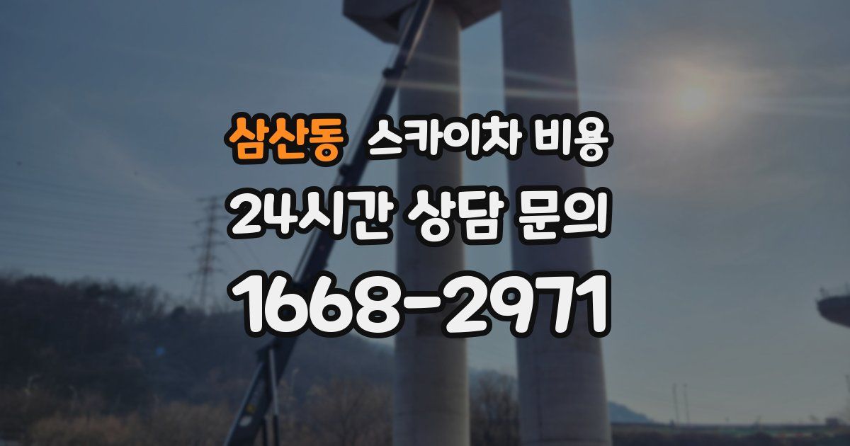 삼산동 스카이차 비용