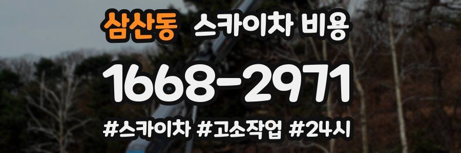 삼산동 스카이차 비용