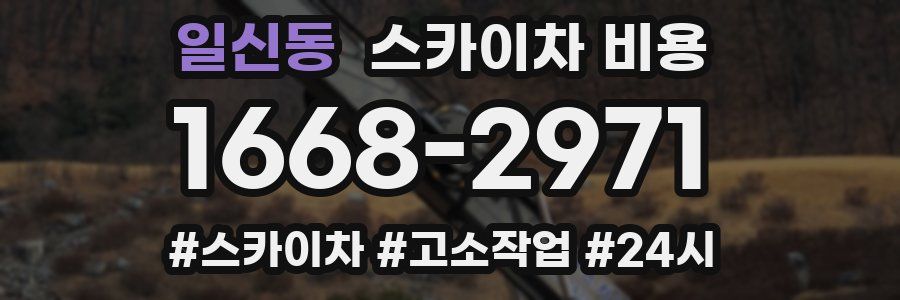 일신동 스카이차 비용