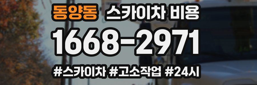 동양동 스카이차 비용