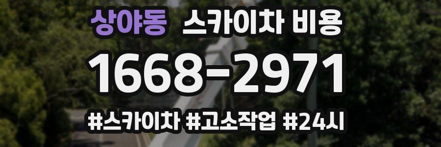 상야동 스카이차 비용