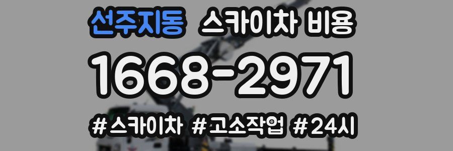 선주지동 스카이차 비용