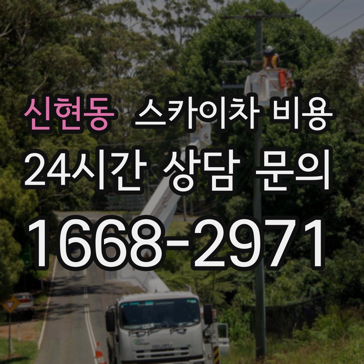 신현동 스카이차 비용