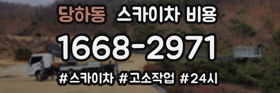 당하동 스카이차 비용