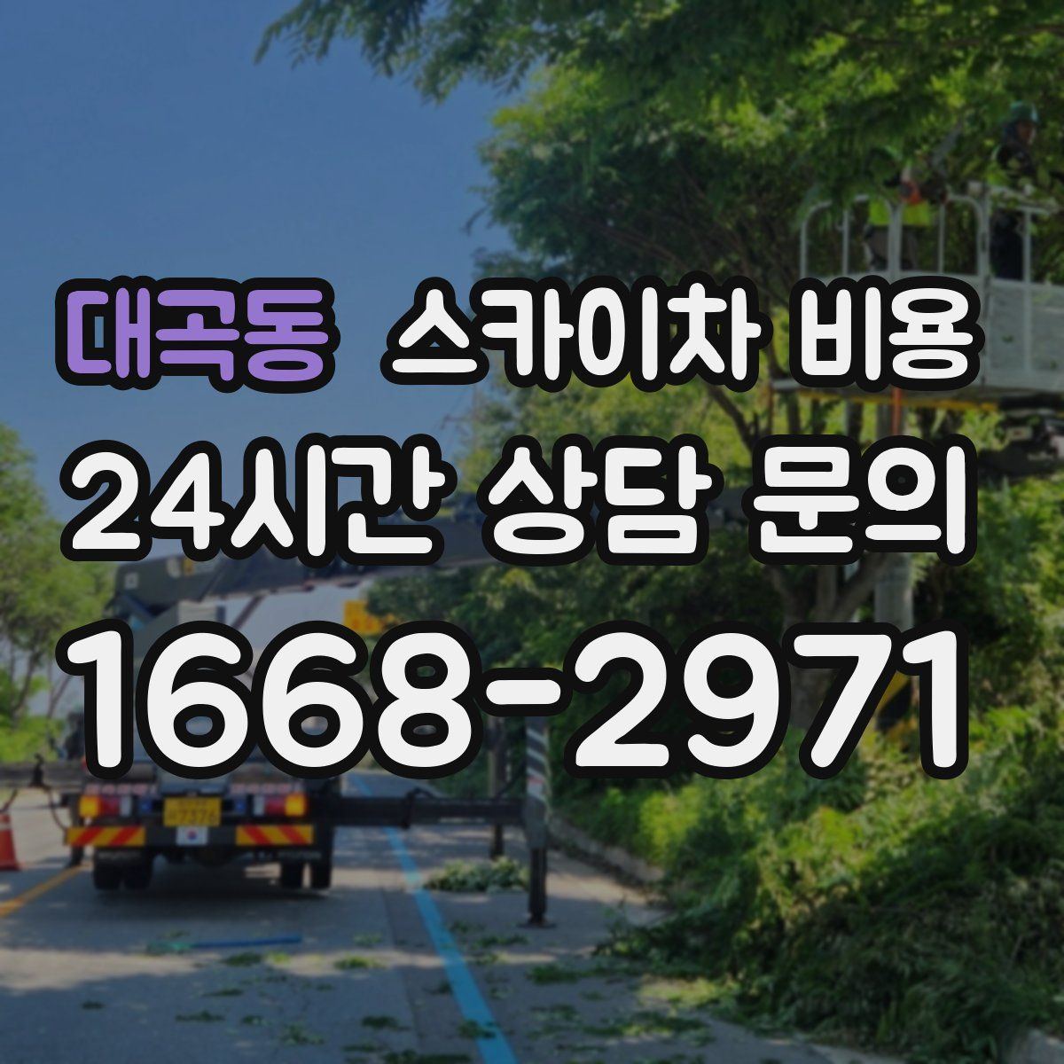 대곡동 스카이차 비용