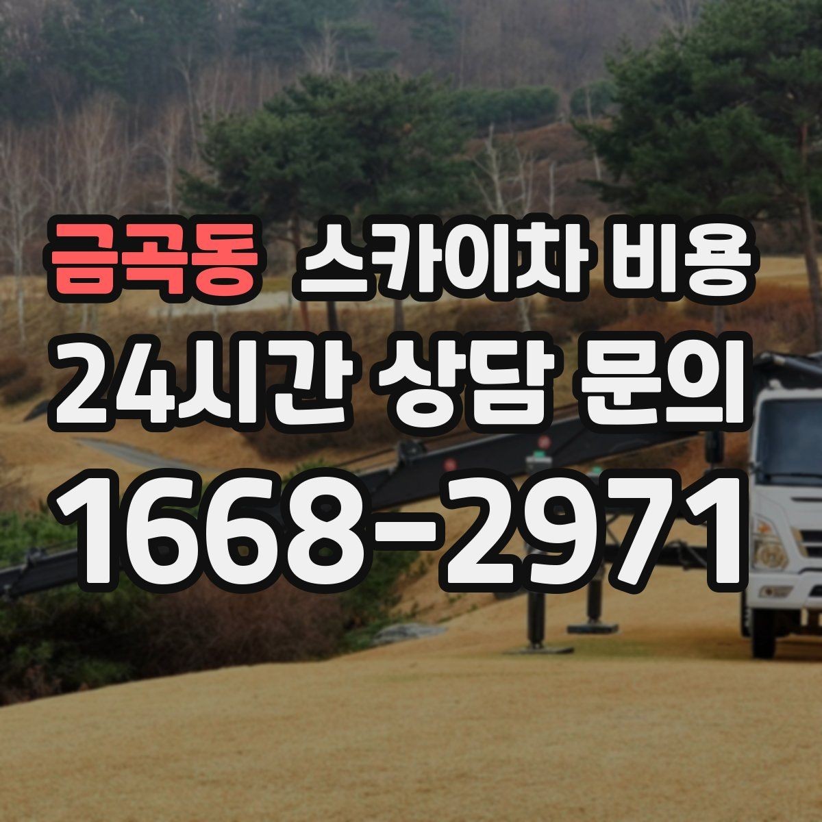 금곡동 스카이차 비용 통신선 처짐 정리는 구간 수가 중요합니다