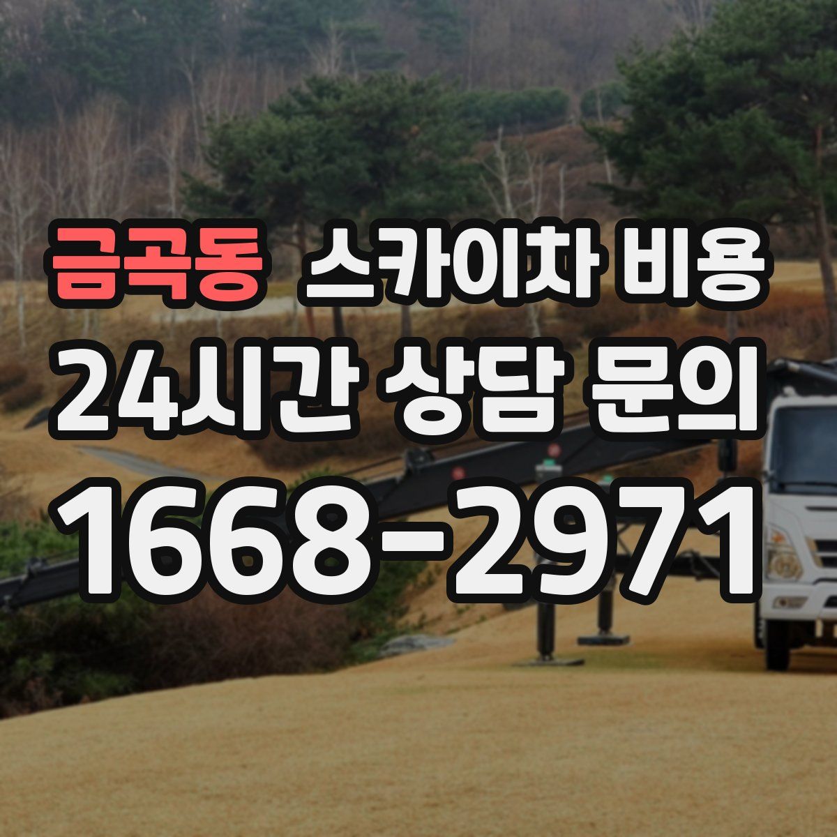 금곡동 스카이차 비용