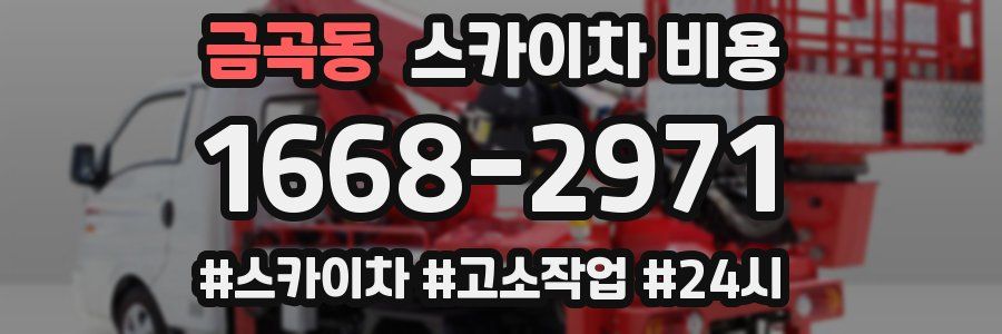 금곡동 스카이차 비용