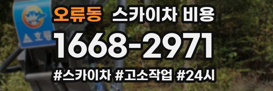 오류동 스카이차 비용