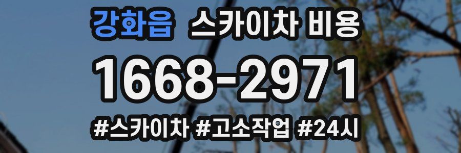 강화읍 스카이차 비용