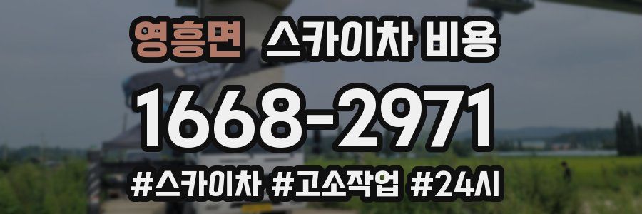 영흥면 스카이차 비용