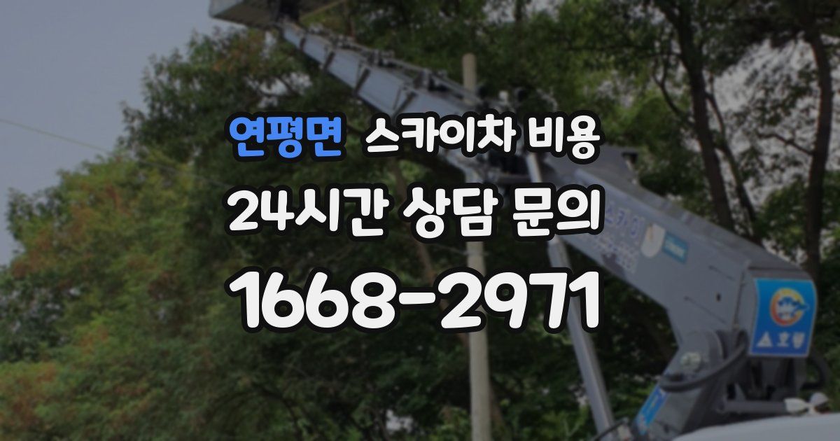 연평면 스카이차 비용