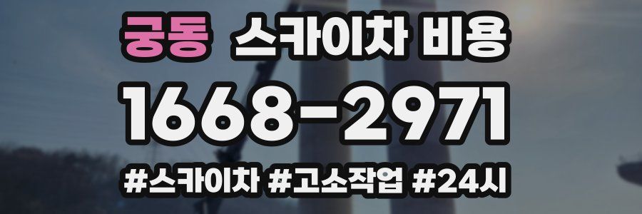 궁동 스카이차 비용