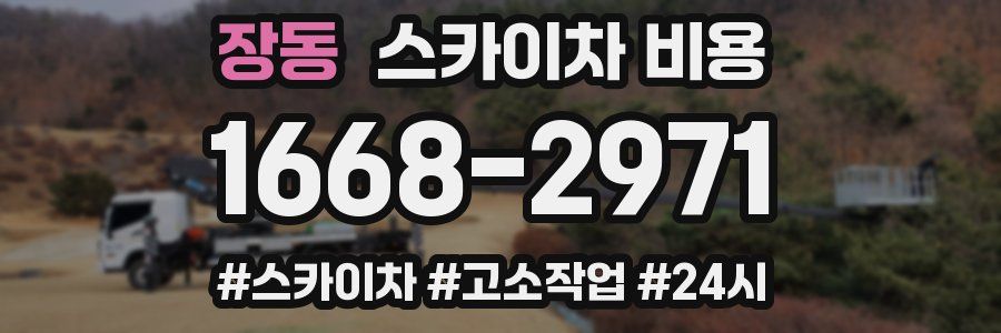 장동 스카이차 비용
