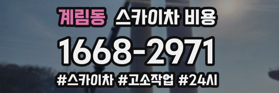 계림동 스카이차 비용