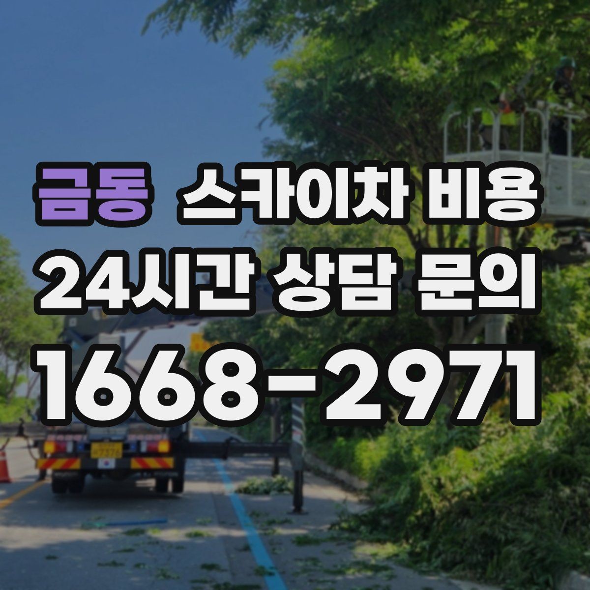 금동 스카이차 비용 고소 세척이 포함되면 견적이 달라질까
