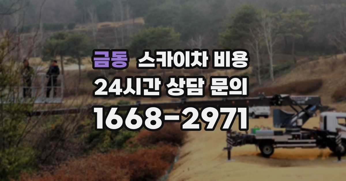 금동 스카이차 비용