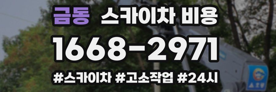 금동 스카이차 비용