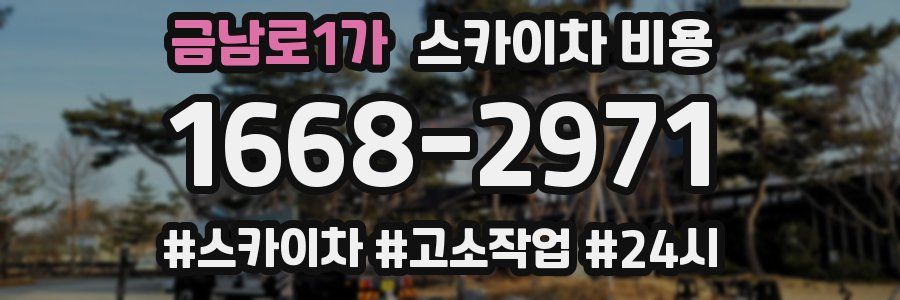 금남로1가 스카이차 비용