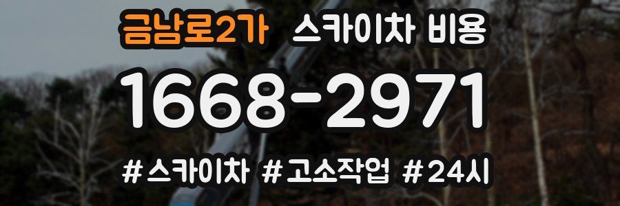 금남로2가 스카이차 비용