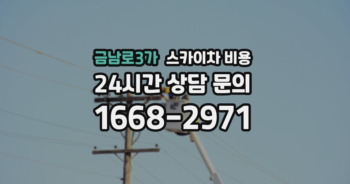 금남로3가 스카이차 비용