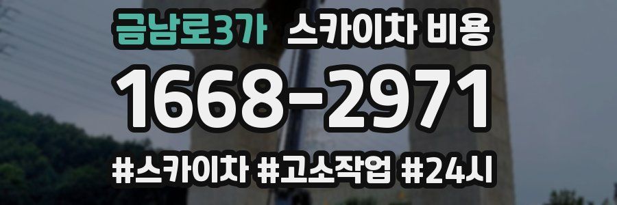금남로3가 스카이차 비용