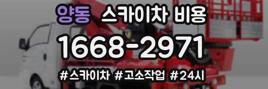 양동 스카이차 비용