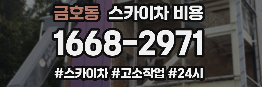 금호동 스카이차 비용