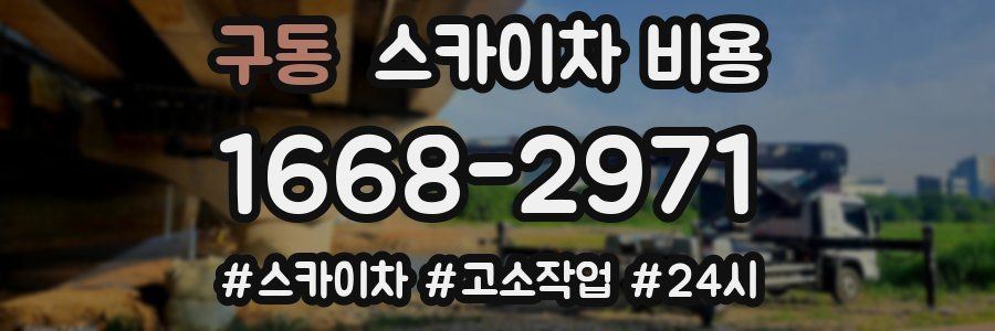 구동 스카이차 비용