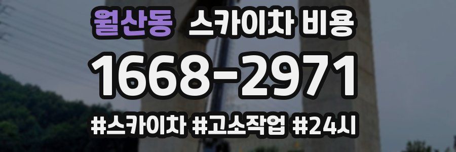 월산동 스카이차 비용